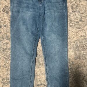 True Craft Blue Skinny Jeans
